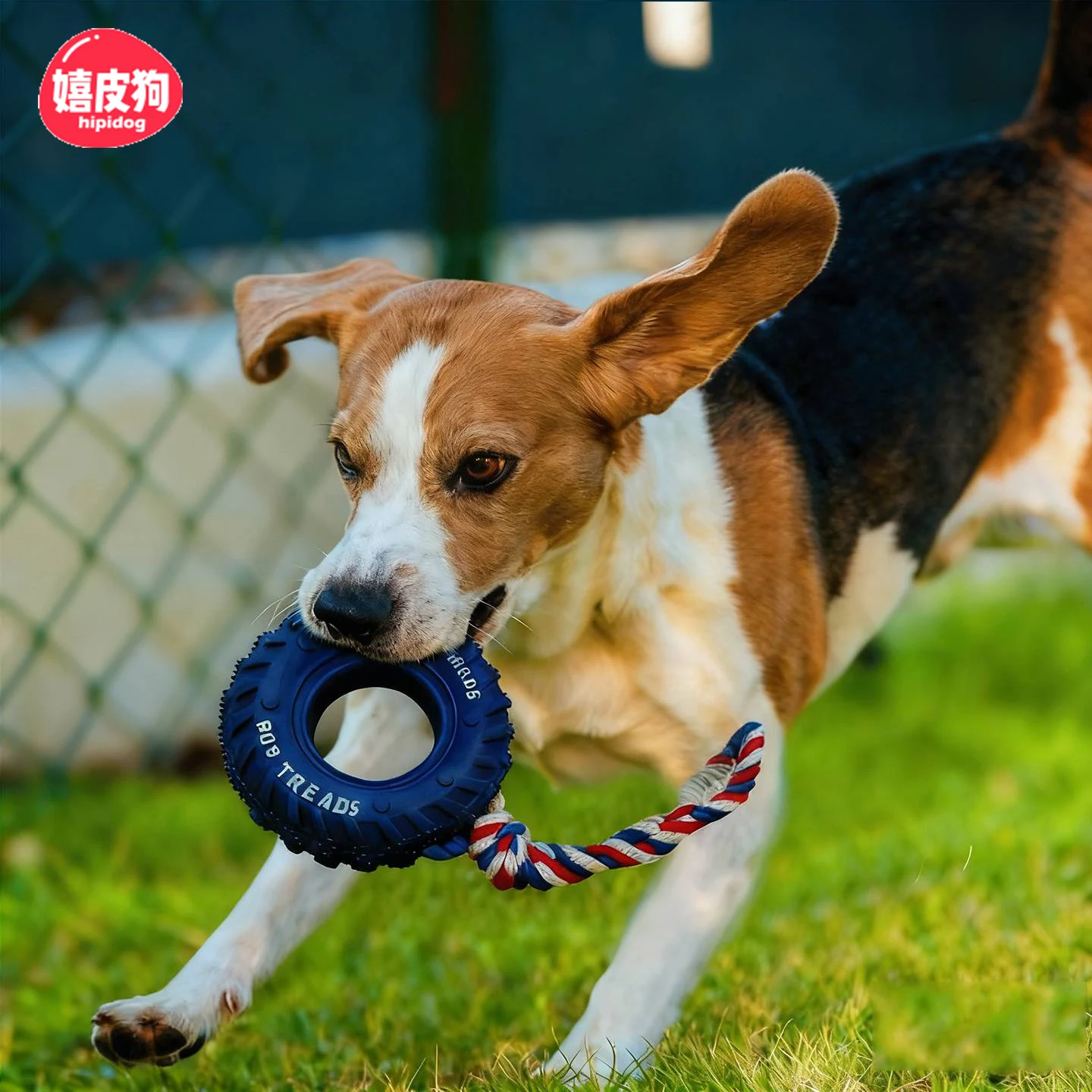 

Прочная резиновая игрушка для собак для чистки зубов и игр, интерактивная жевательная игрушка для собак малого и большого размера, в форме печенья.