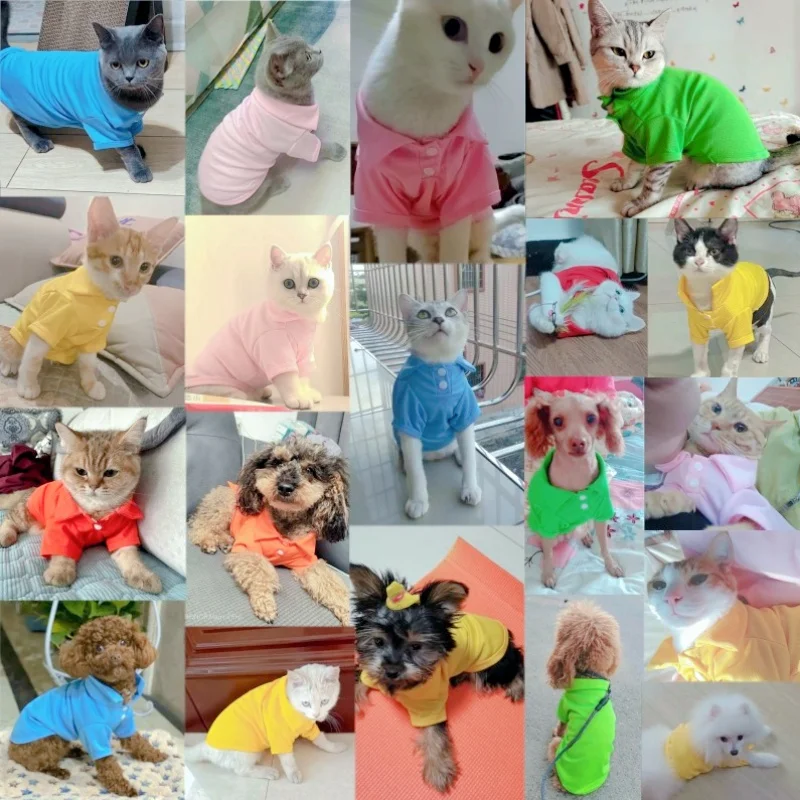 Luxury Dog Shirt for Small Dogs Summer Dog Polo Shirt Cute Soft Puppy Clothing Solid Cat Shirt Chihuahua Dog Clothes Pet Costume