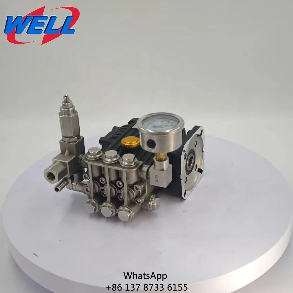 

WEITE 1210C 220Bar 1.22GPM Electric Stainless Steel High-pressure Cleaning Pump-New Car Wash & Optics Use Triplex Plunger Pump