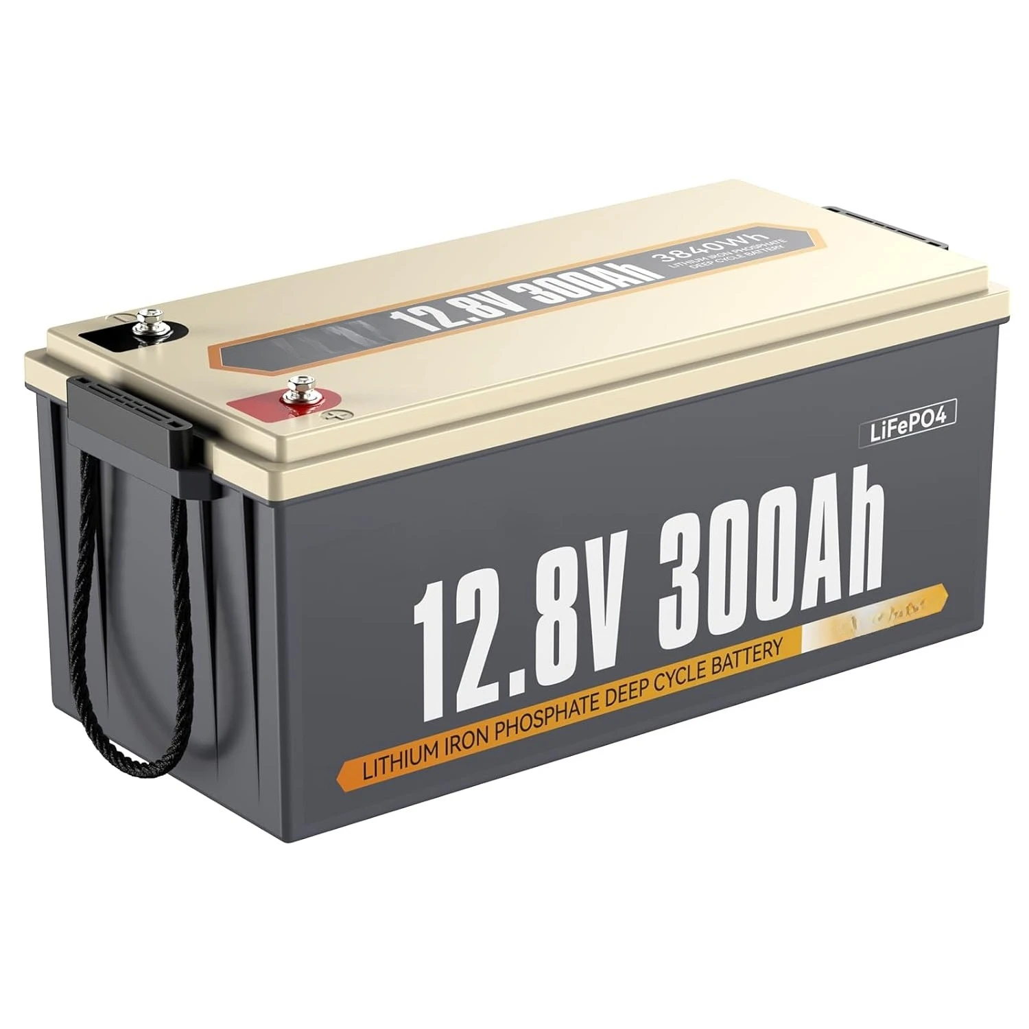 

Литий-железо-фосфатный аккумулятор (LiFePO4) со встроенной BMS 200А, выходная мощность 2560 Вт, до 15000+ глубоких циклов, на заказ