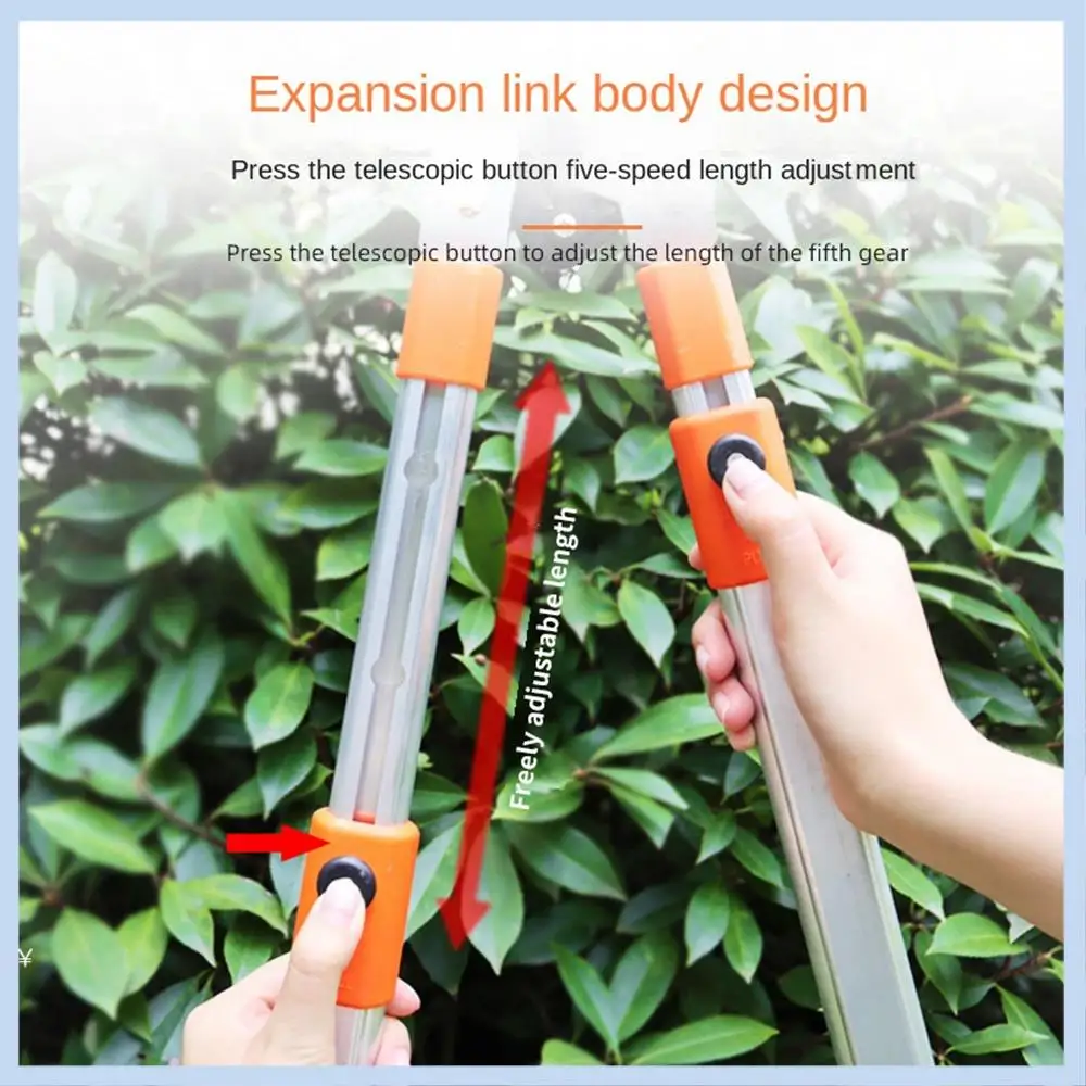 Cesoie da potatura regolabili MLGB Cesoie da potatura per alberi da giardino a ramo alto Cesoie da potatura telescopiche per rami Attrezzi da giardino