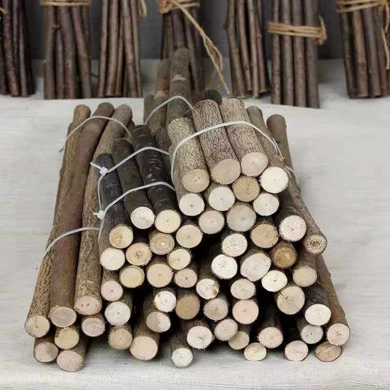 أعواد خشبية من خشب البتولا الطبيعي، فروع جافة لمشاريع الحرف اليدوية، دعائم الصور، ديكورات الزفاف المنزلية #2