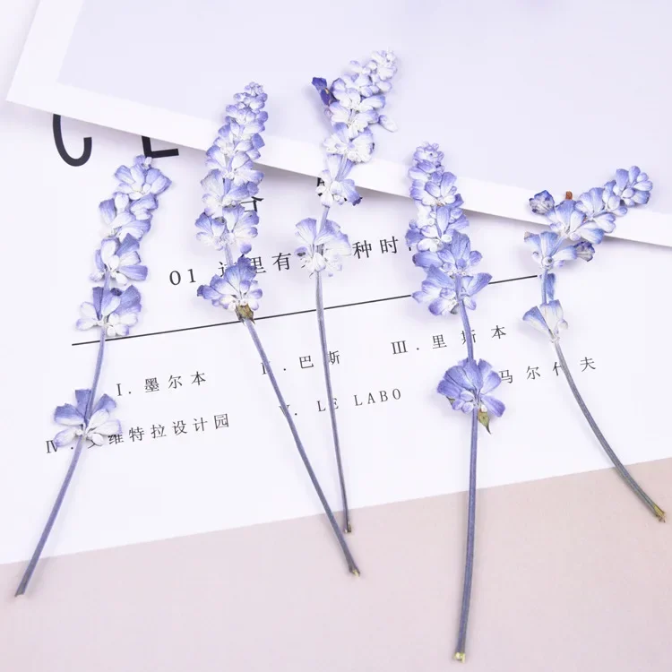 16pcs/lot,Natural Pressed flowers with stem,Eternal real rose flowers for DIY Wedding invitations Craft Photo Bookmark Gift Card