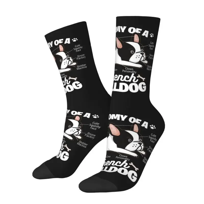 Fun Printing Anatomy Of A French Bulldog Socks for Men Women Stretch Summer Autumn Winter Pet Animal Dog Crew Socks