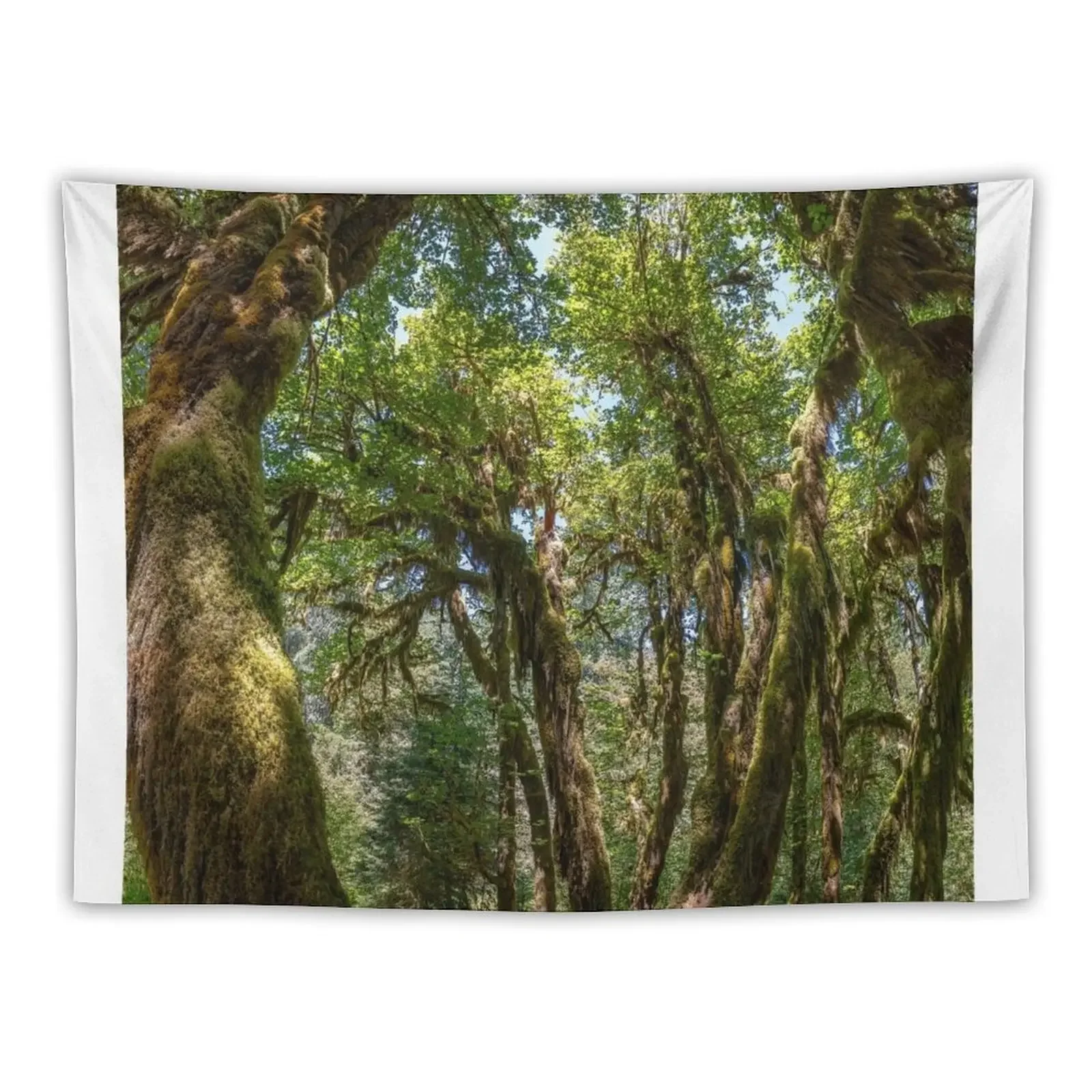 

Hoh Rainforest Tapestry Wall Tapestries Room Aesthetic Funny Home Decorations Tapestry