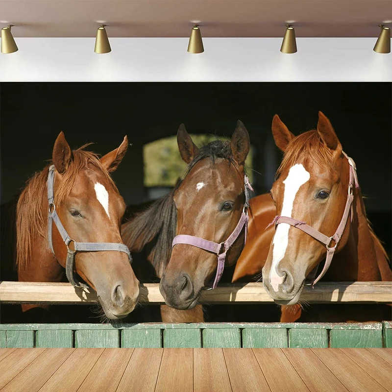 Horses In Paddock Photography Backdrop Purebred Chestnut Racing Horses in The Barn Background Cowboy Birthday Party Decoration