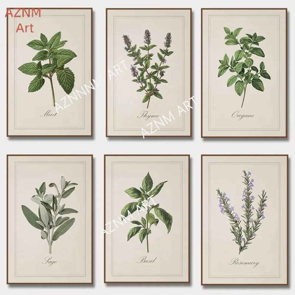 1/6pcs Vintage Herbal Illustrations Posters and Prints Culinary Herbs Botanical Canvas Painting Kitchen Wall Art Picture Decor