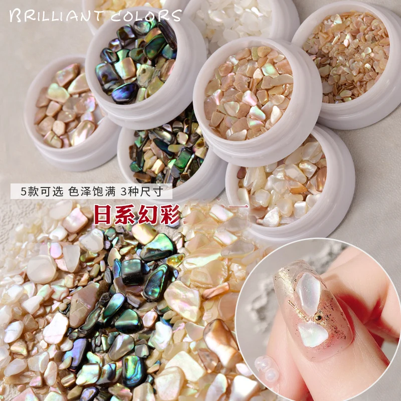 

Nail jewelry Shell Crushed Stone Nail Shell Pieces Polished Symphony Abalone Light Therapy Nail Jewelry For Nail Tip Beauty