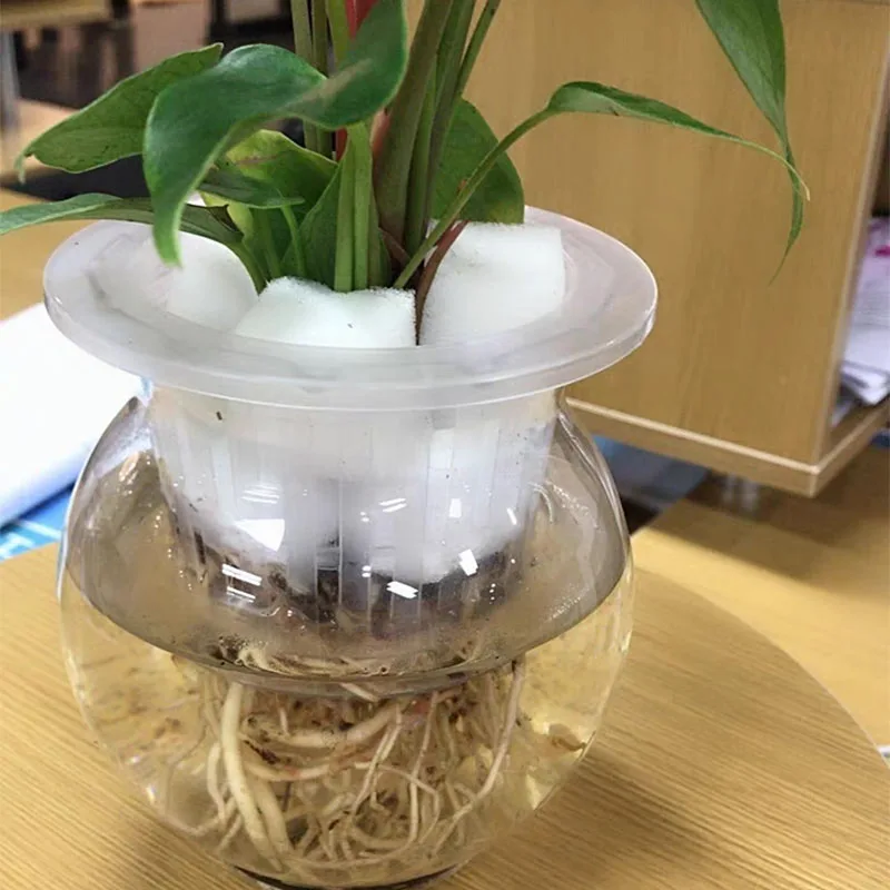 50 stücke Hydrokultur Soilless Mesh Net korb Pflanzen veg Wachsen Kindergarten Tasse Topf Schwamm tablett Aeroponic Veg Pflanzer Klon Kolonisierung q1 – Detail 10