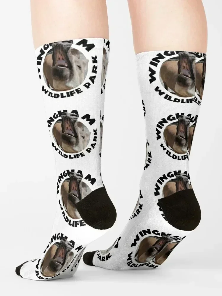 Time For Your Close-up Socks aesthetic anti slip football designer brand cotton Socks Girl Men's