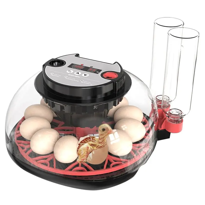 

ABKW-Egg Incubator Flashlight Temperature And Humidity Display For Automatic 12H For Quail Chicken EU Plug Egg Turner
