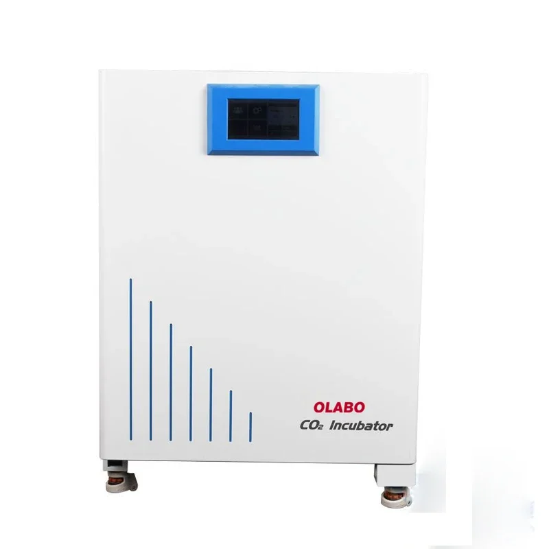 OLABO  Laboratory CO2 Incubator Digital Incubator Chamber Factory Outlet Automatic  Incubator Co2