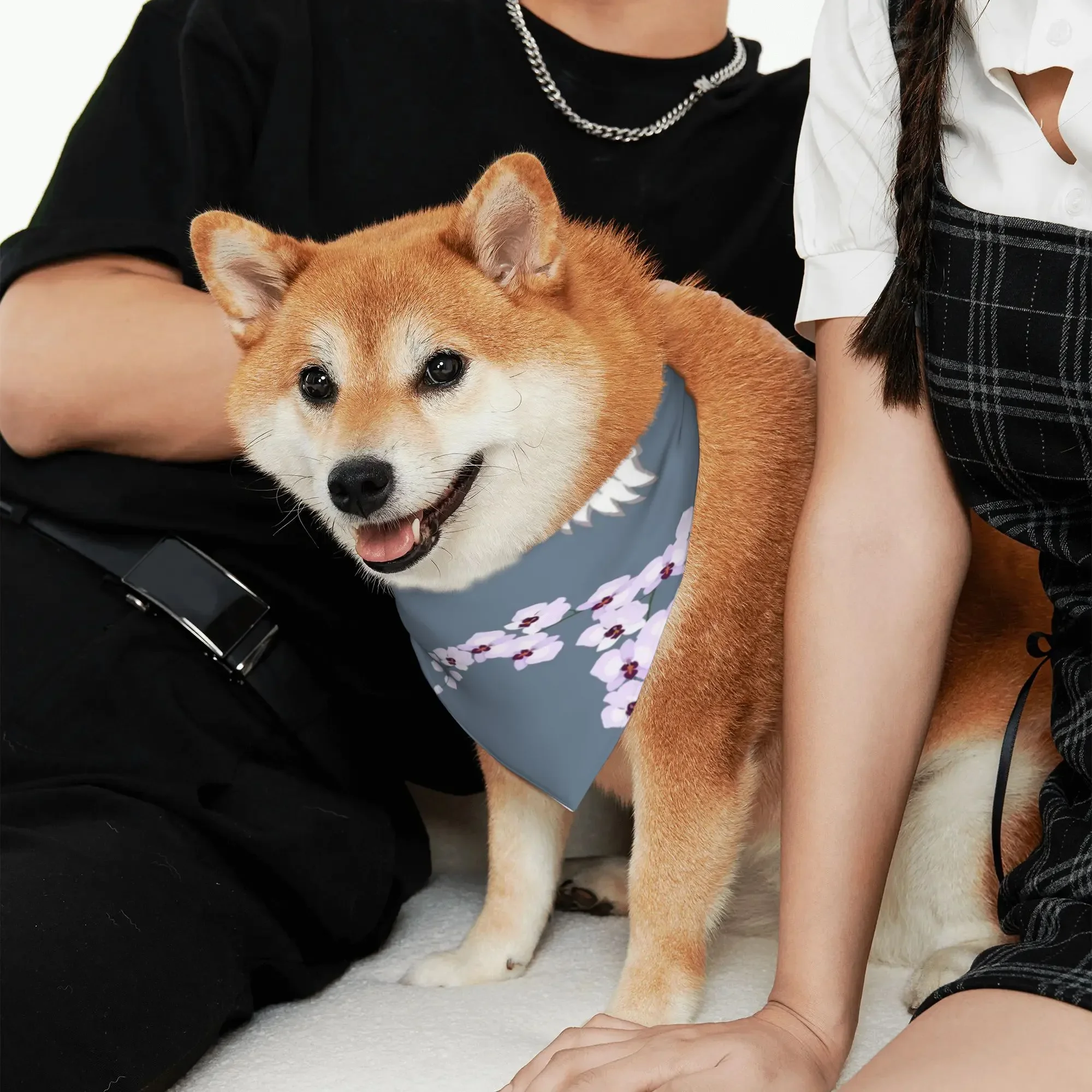 teestsccsccsss ssssss1031 sssteestsccsccsss ssssss1031 sss