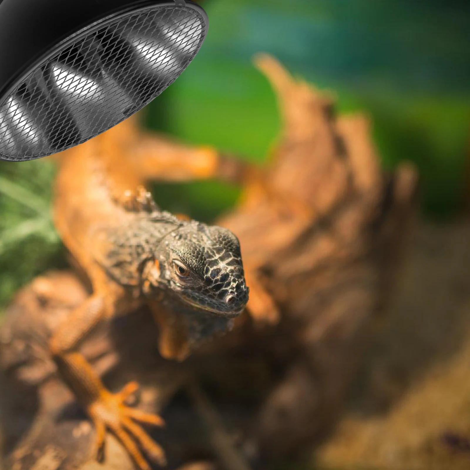 

Reptile Enclosure Heat Lamp Cover Iron Mesh Guard Safety Mesh Detachable Reptile Tank Lamp Protector Grill Bbq