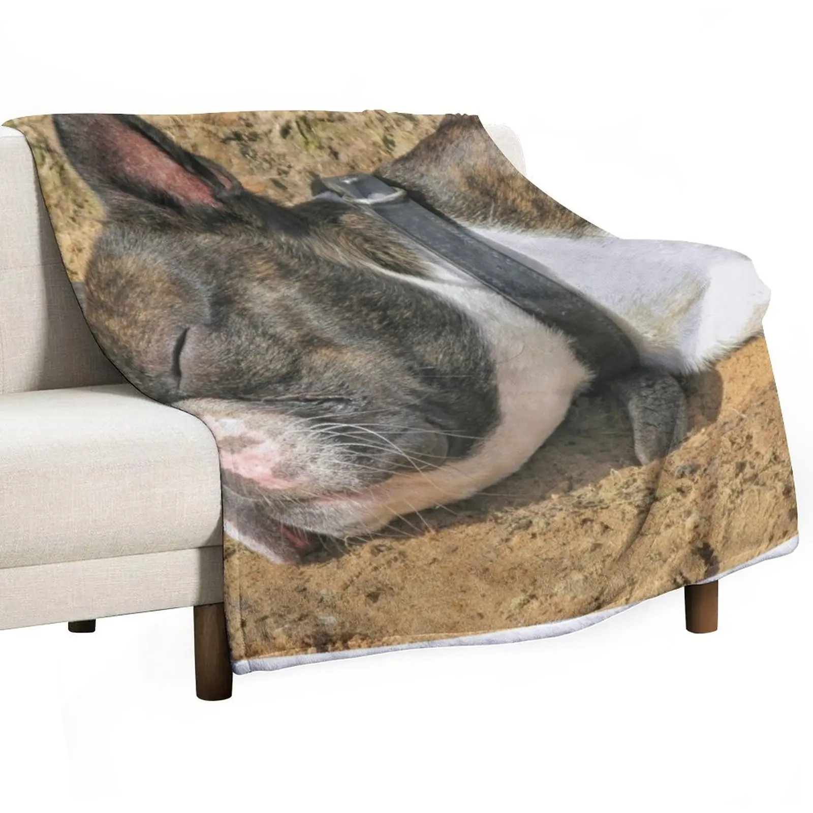 

Boston Terrier sleeping Throw Blanket Decorative Sofa Camping Designers Nap Blankets
