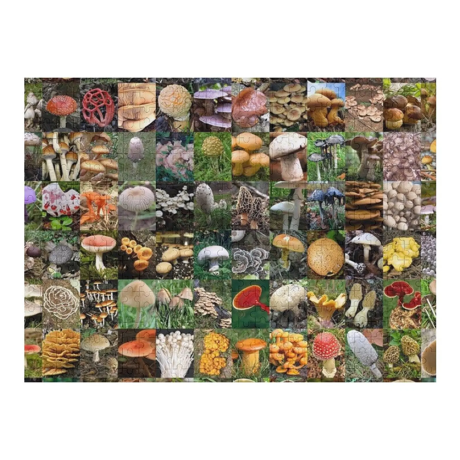 

Mushrooms Jigsaw Puzzle Photo Personalized Gifts Wooden Animal Customized Kids Gift Personalized For Kids Puzzle