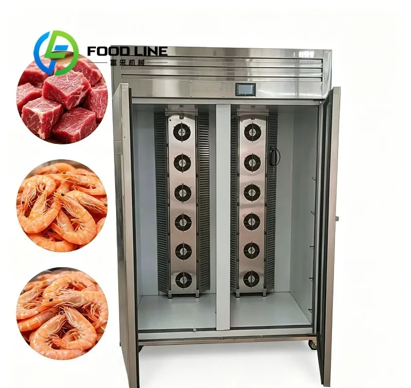 Low Temperature Humidity Thaw Cabinet Precise Constant Parameter Control Ensures Zero Weight Loss For High-End Beef Lamb Thawing