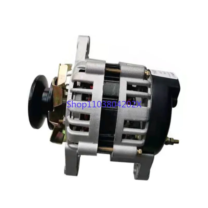 

Small Pulley 220v1500w Permanent Magnet Brushless AC Generator Household Lighting Brand New Pure Copper