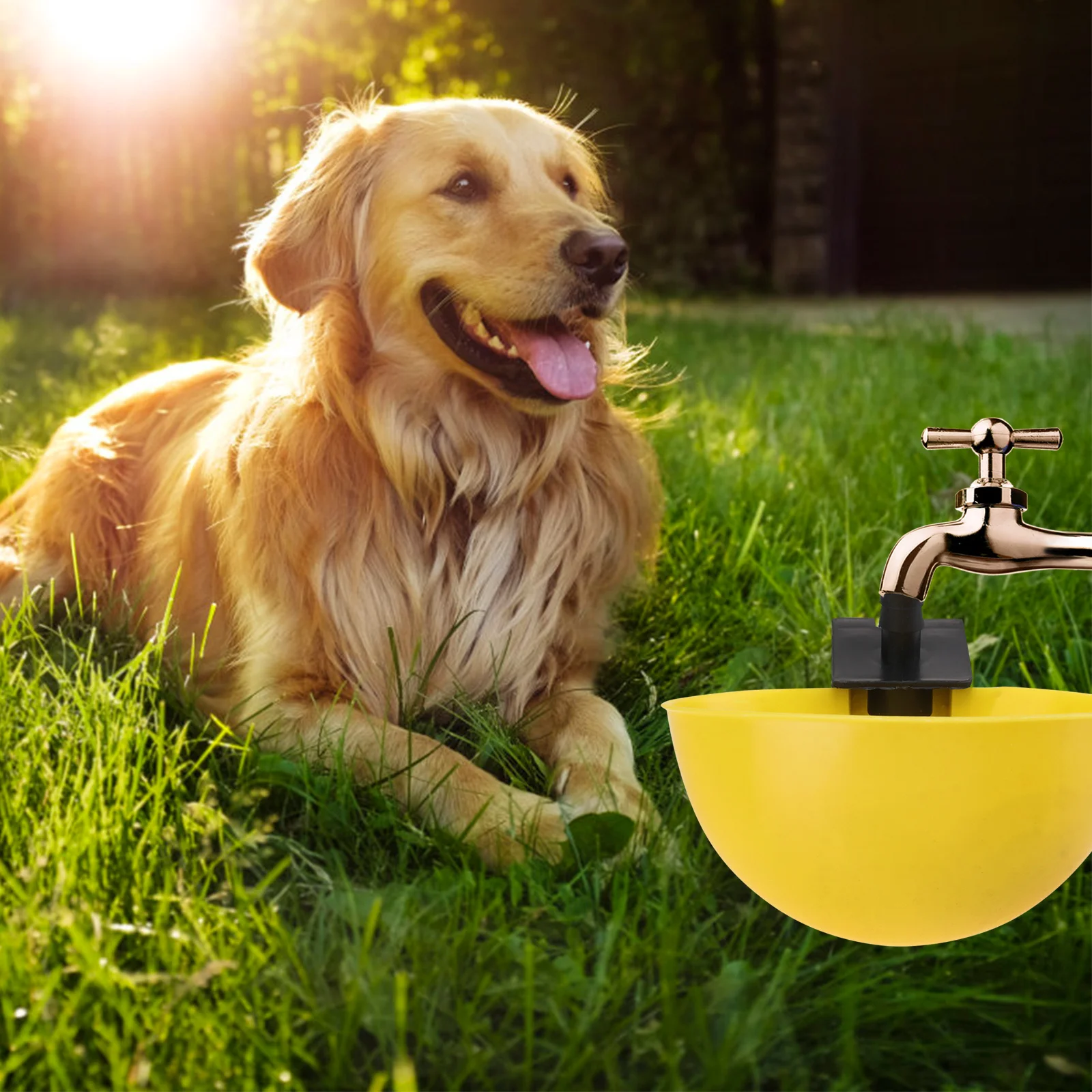 

15Pcs Automatic Chicken Drinking Bowl Durable Poultry Feeder Pigeon Water Dispenser Farm Use Environmental Safe