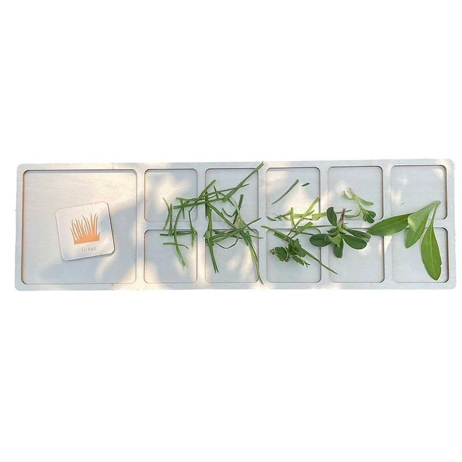 Exploration Game Board Nature Collecting Plate Wooden Plant Display Interactive Discovery Preschool Montessori for Collection