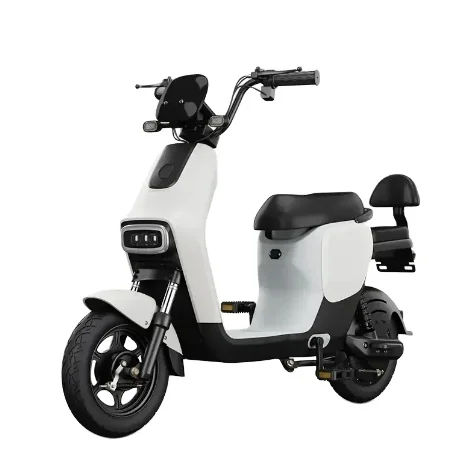 Hebei Factory Price Electric Motorcycle 12inch 1200w Electric Pedal Moped