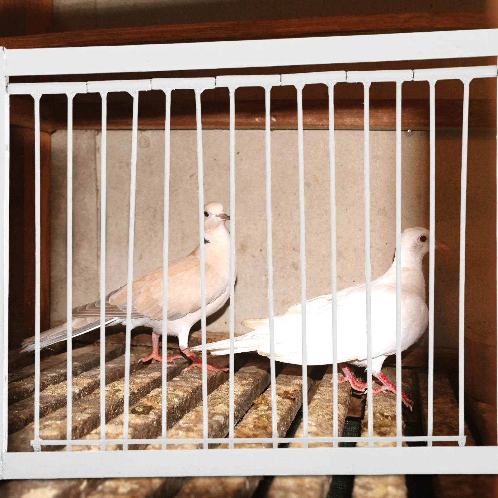 

Reinforced Pigeon Trap Door Metal Frame Bird Entrance for Racing Training Fast Installation Easy Clean Pigeon Cage Outdoor