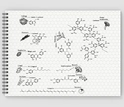 Hexagonal Organic and Bio Chemistry Graph Rule Paper Notebook Graph Notebooke Lab Book Graph and Lined Spiral Notebook