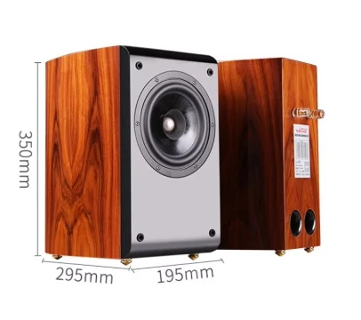 TUOLIHAO 2020, новые полочные динамики Q6, Hi-Fi, полнодиапазонный динамик с одним драйвером, дуговая коробка, соответствующая пара небольших усилителей мощности