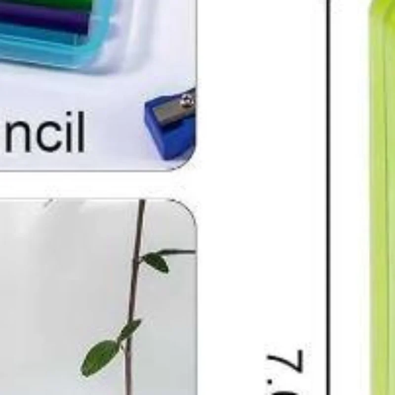 Transparent Toothbrush Storage Box Convenient Travel Toothbrush Holder Portable Toothbrush Case Toothbrush Travel Case