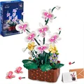 Orchid