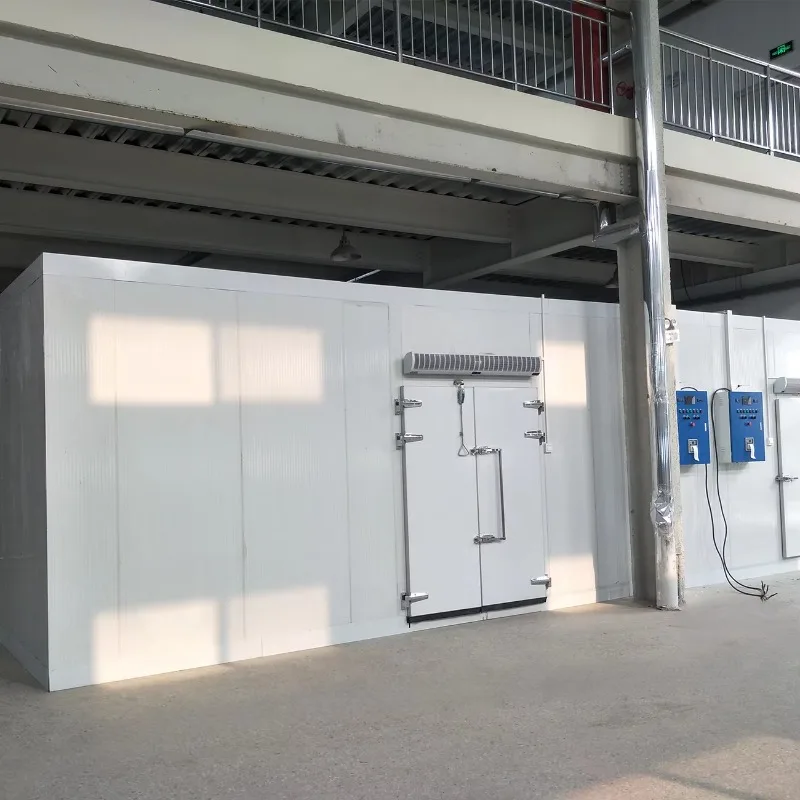 Commercial Walk in Freezer Chiller Portable Cold Storage Blast Freezer Cooler Cold Storage Energy Efficient Food Warehouse