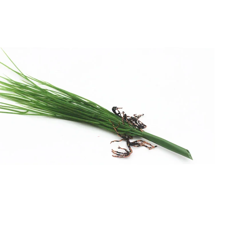 28/45cm künstliche Zwiebel Gras Pflanzen Bündel Kunststoff grünes Gras gefälschte Schilf Gras Laub Wand material für Garten Wohnkultur – Detail 4