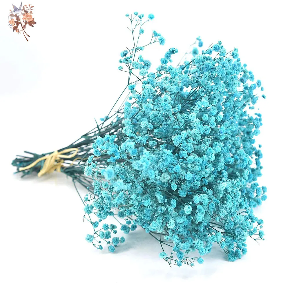 90G Natural Dry Gyp… - image