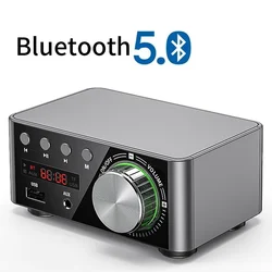 Mini Audio HiFi Bluetooth 5.0 Power Class D amplificatore Tpa3116 amplificatore digitale 50W * 2 Home Audio Car Marine USB/AUX IN