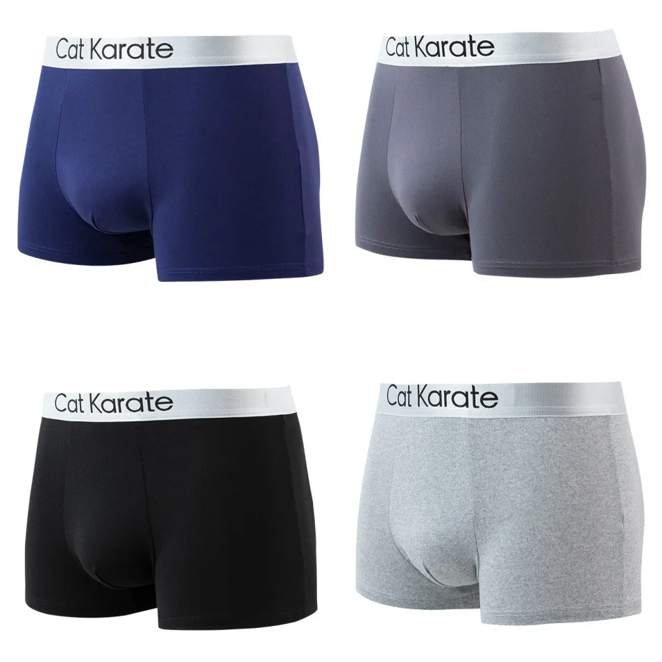 

XL-4XL Boxer Shorts Men's Panties Boxers Underpants Fashionable Breathable Boxer shorts Underwear for Man 4pcs Sexy Underpants