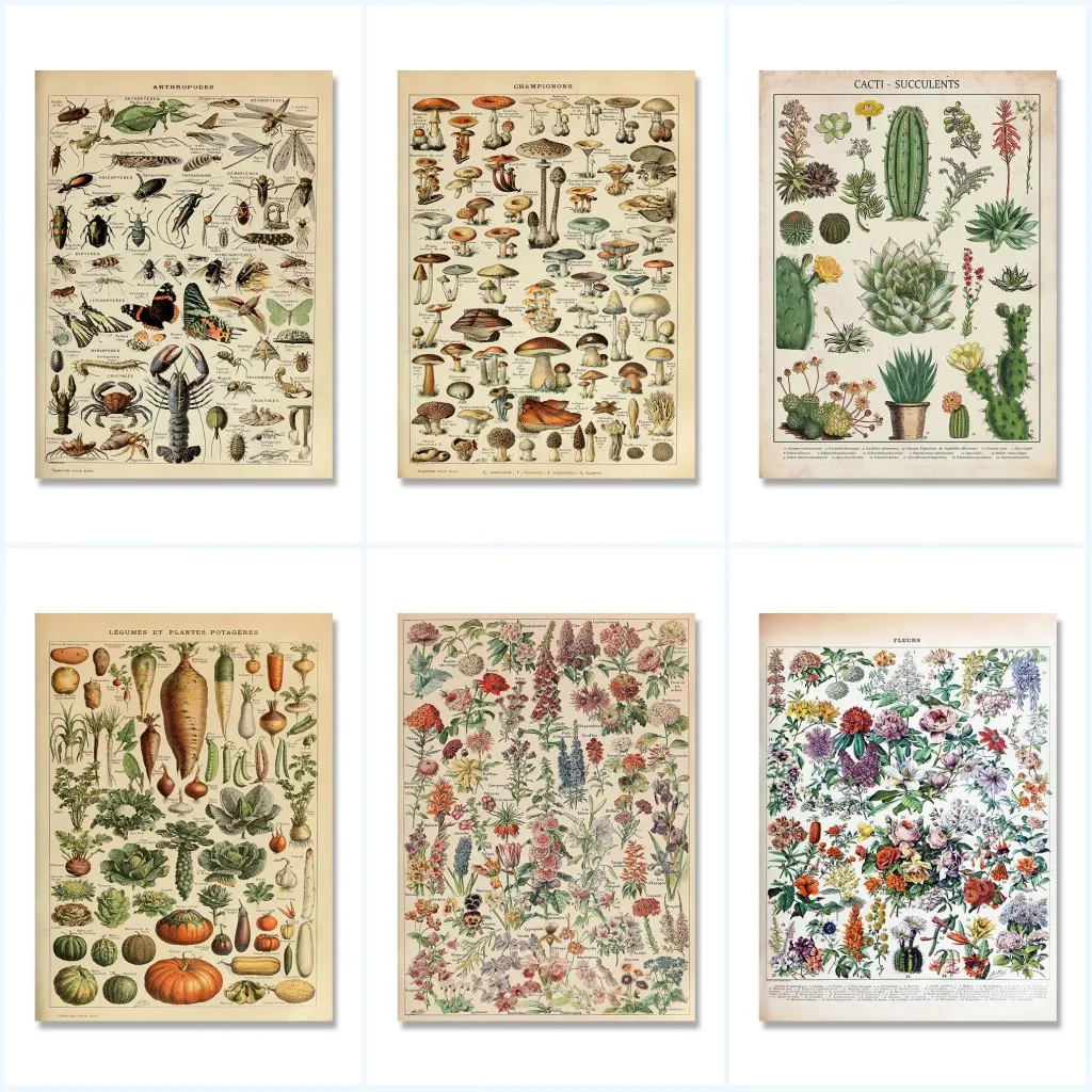 1pc Unframed Vintage Adolphe Millot Encyclopedia Posters and Prints Botanical Mushrooms Herbs Flowers Insect Canvas Paintings Wa