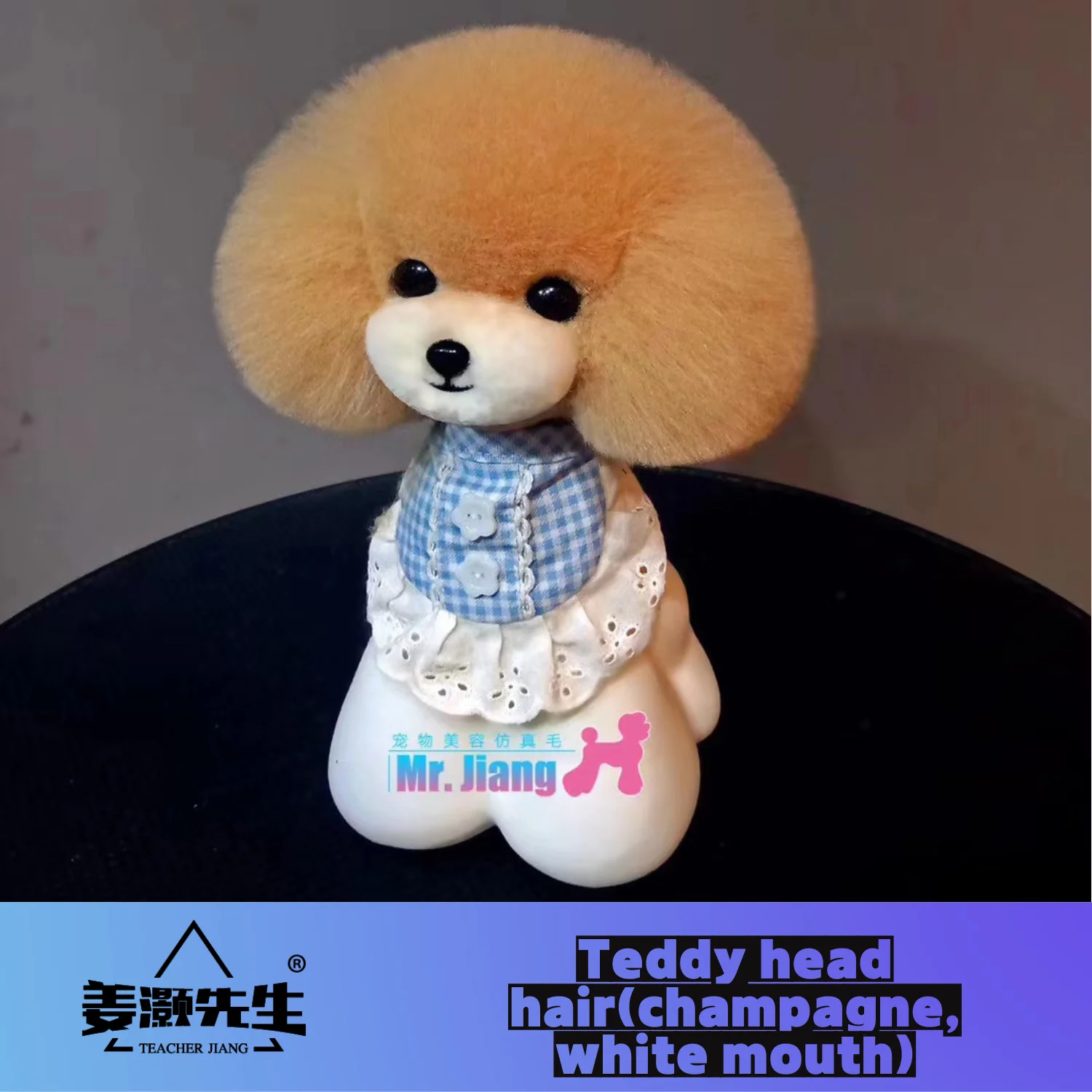 Mr. Jiang Teddy head Fake Hair ( wig only  no modle) Pet Teacher Beauty Modeling Practice Dog Model  Dog