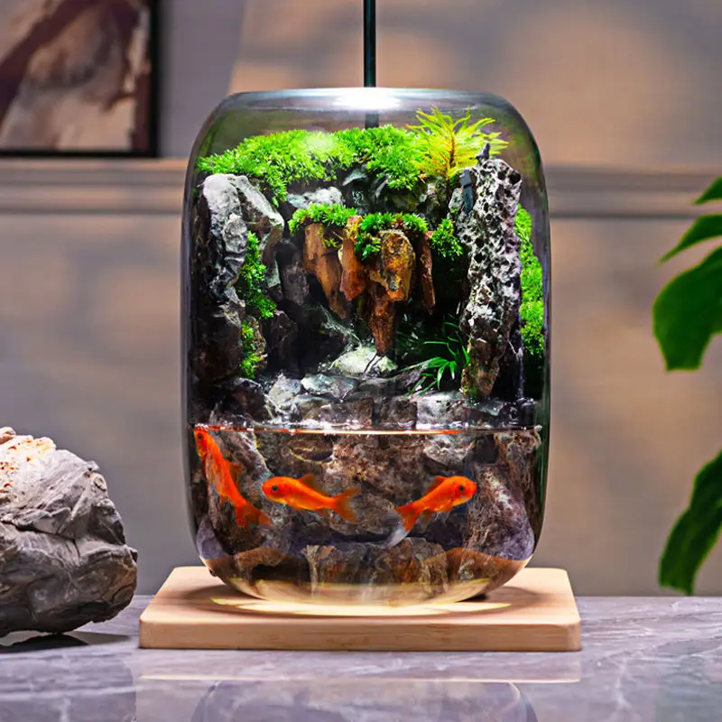 Shishang Qingquan خزان الأسماك المياه المتدفقة نبات حقيقي الطحلب المشهد الصغير زجاجة بيئية مكتب الانتهاء #2