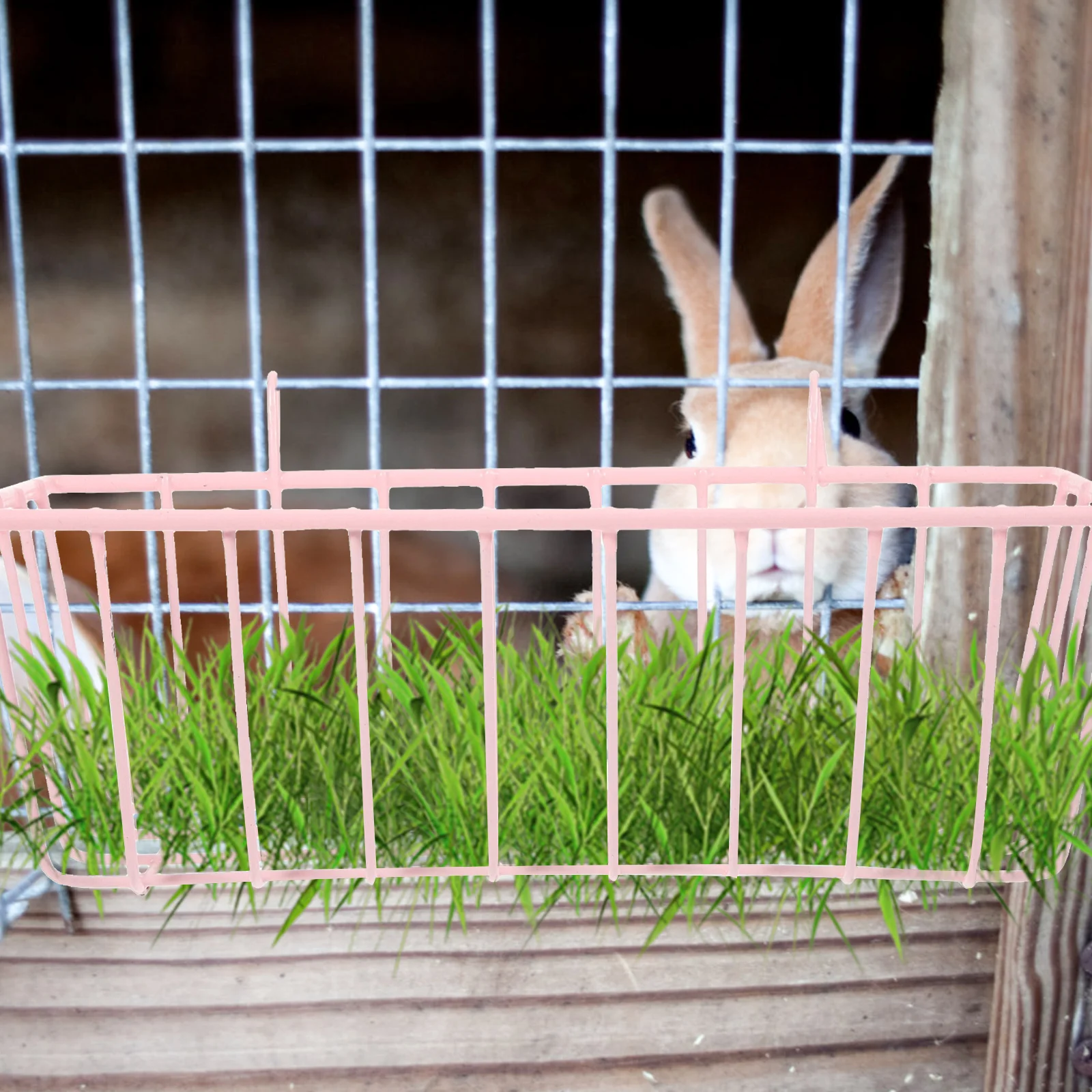 Rabbit Hay Feeder Hanging Hay Feeder Convenient Bunny Feeder Rabbit Accessory Guinea Pig Hay Cage Hanging Rabbit Hay Rack