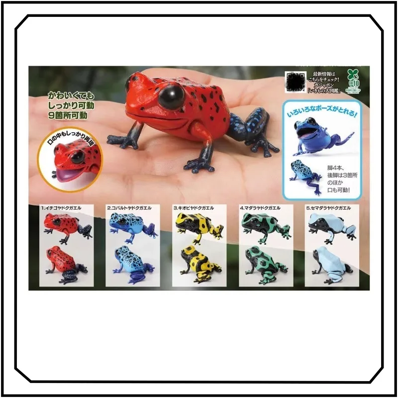 

Bandai Frog Gashapon Biology Illustrated Fashion Exquisite Creativity Simulation Ornament Collection