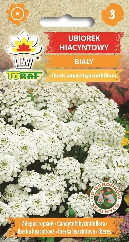 Graines de fleurs de Jacinthe Blanche 0,5g pour jardin, floraison abondante, plante ornementale pour parterres de fleurs et bordures