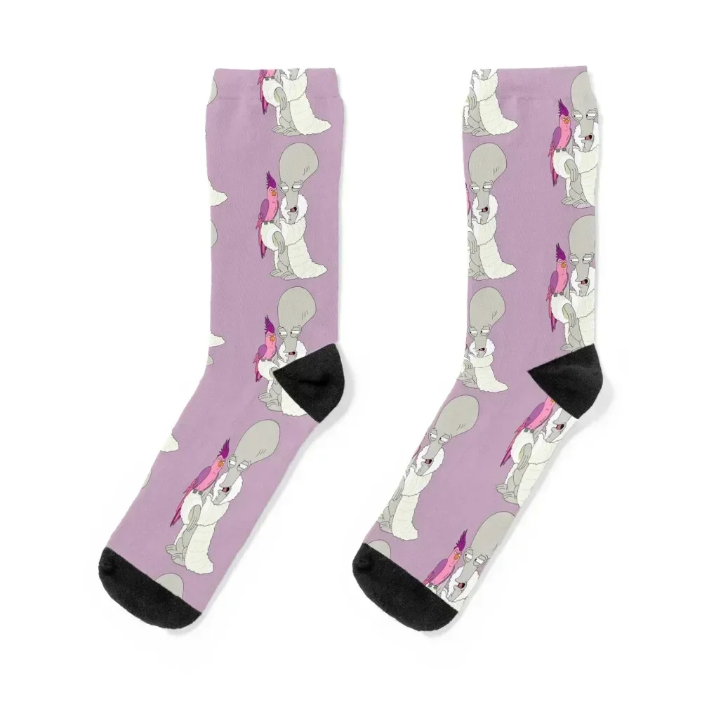 Roger with Lady Peckinpah Socks summer New year's gym Socks Women's Men's