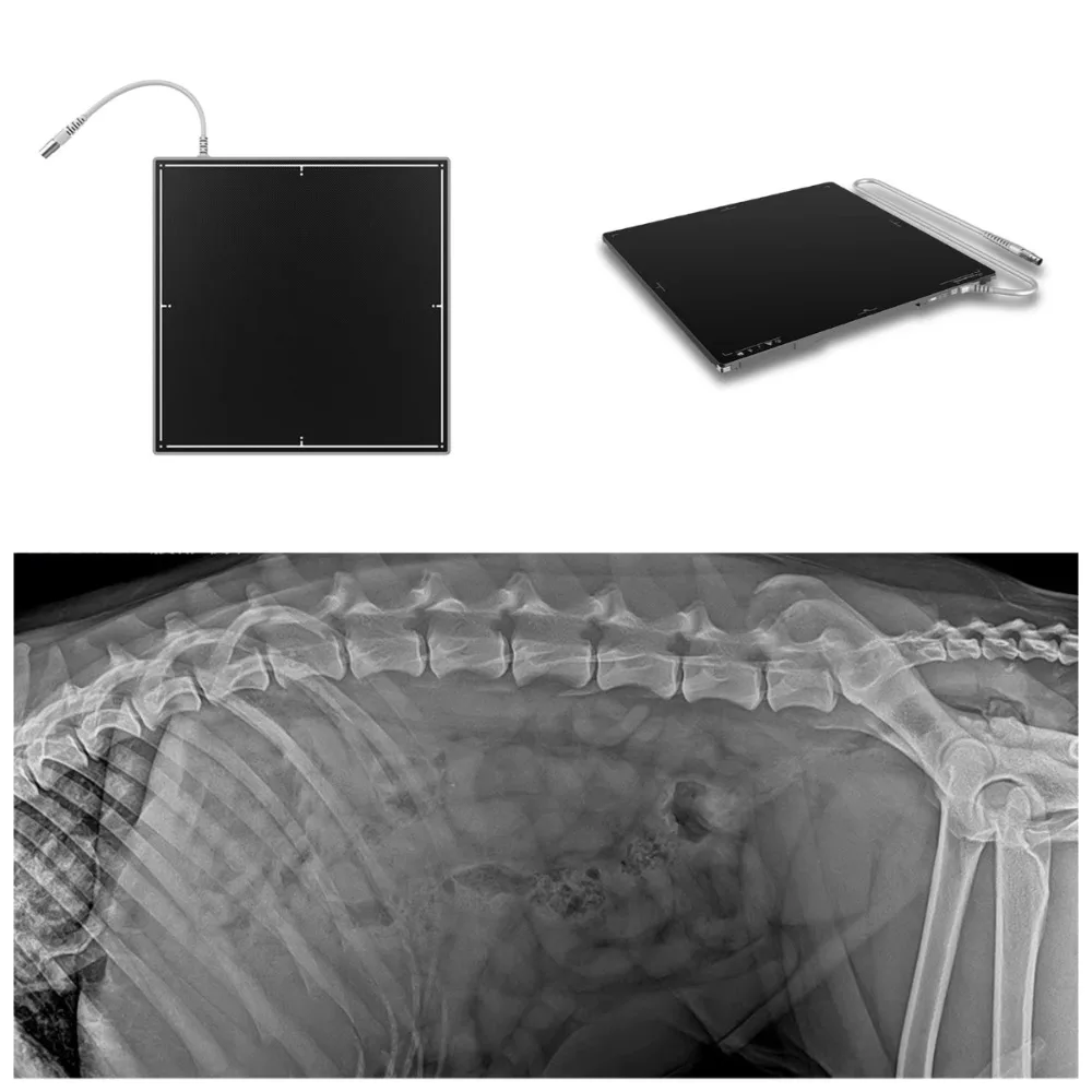 Careview/iray 1417/1717  X-ray Flat Panel Detector 3Y Warranty Human/Veterinary Software Wireless one battery