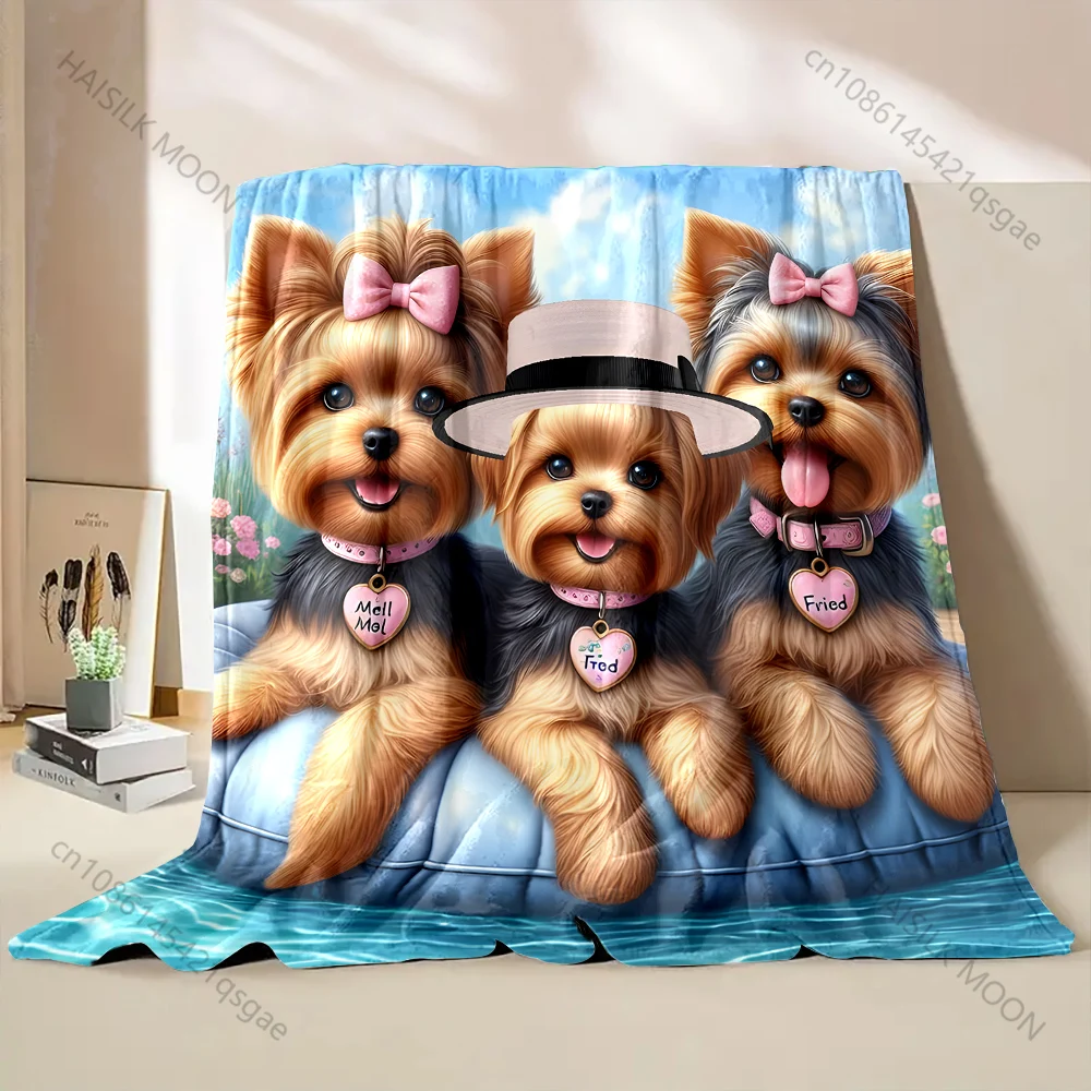 Bonito 3 yorkshire terriers co - Outdoor Kids Yorkshire avaliação e preço