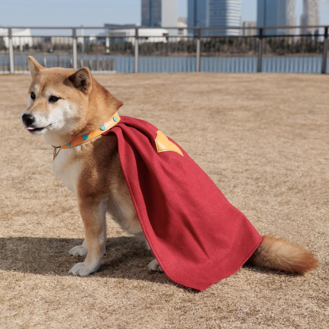 عباءة الهالوين كريبتو للكلاب التأثيرية زي كريبتو أحمر مع علامة كلب Superdog ملابس الحيوانات الأليفة مصنوعة حسب الطلب