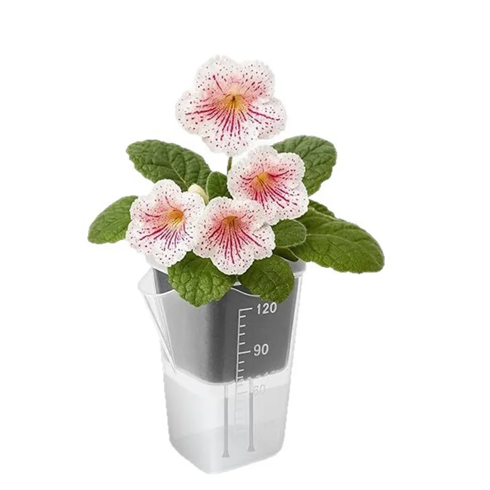 Clear Dual Layers Semi-transparent Self Watering Pots Semi-transparent Design Monitor Root Growth Side Refill Opening