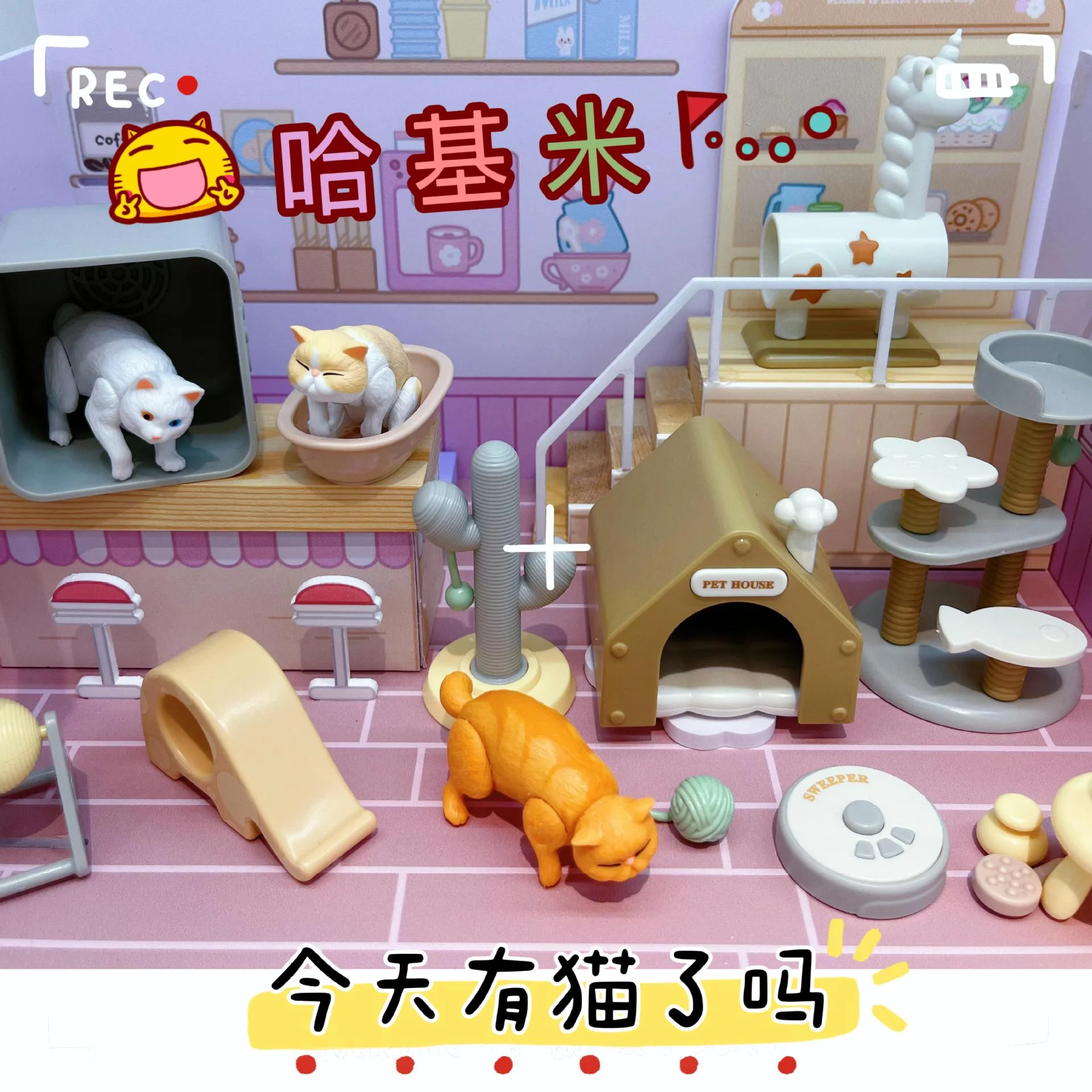 

Креативная рамка для восхождения кошек, слепая коробка, ежедневная сцена, сумка для кошек, декоративная фигурка, модель, подарок для любителей кошек, игрушки и хобби