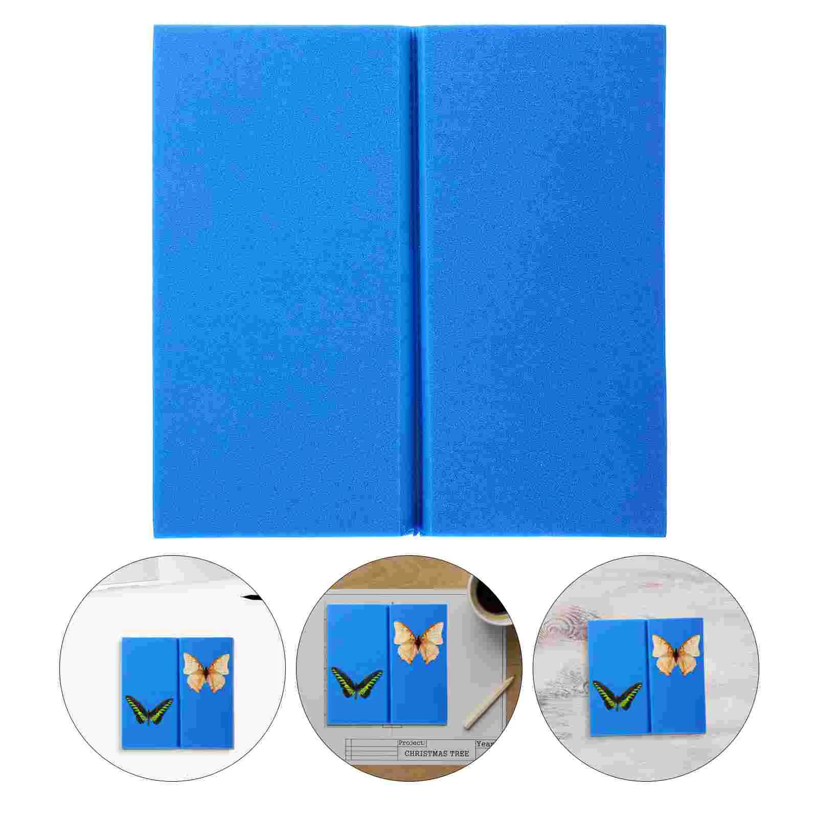 Posture Table Peg Board Insect Display Suite Butterfly Spreading Specimen Eva Foam Pinning Kit