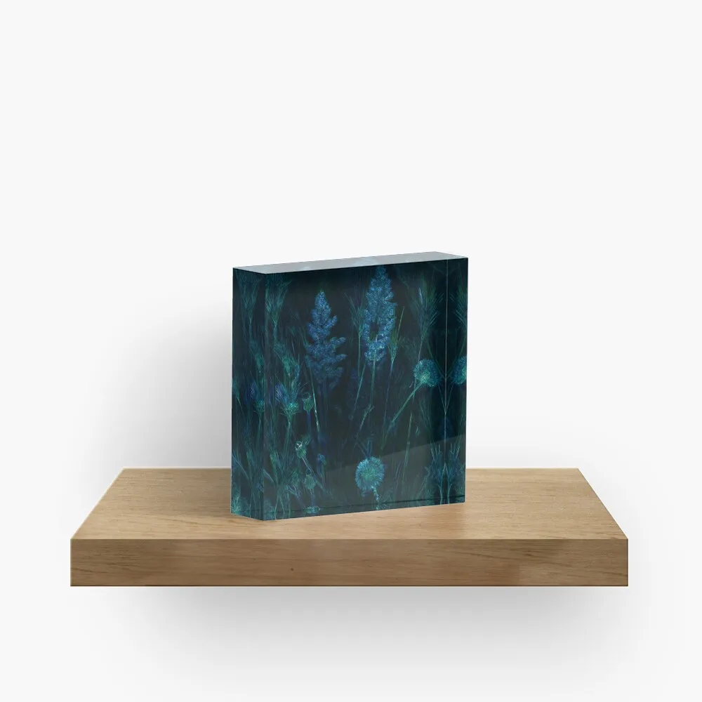 Pandora Forest Spirit Of Eywa Ii  Acrylic Block Bedroom Transparent Board  Photos Family Process Home Decoration Cute Clear