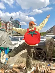 Red Big Tomato Plush Backpack Cartoon Cute Tomato Large Capacity Backpack Autumn/Winter Women Casual Kawaii Schoolbag Travel Bag